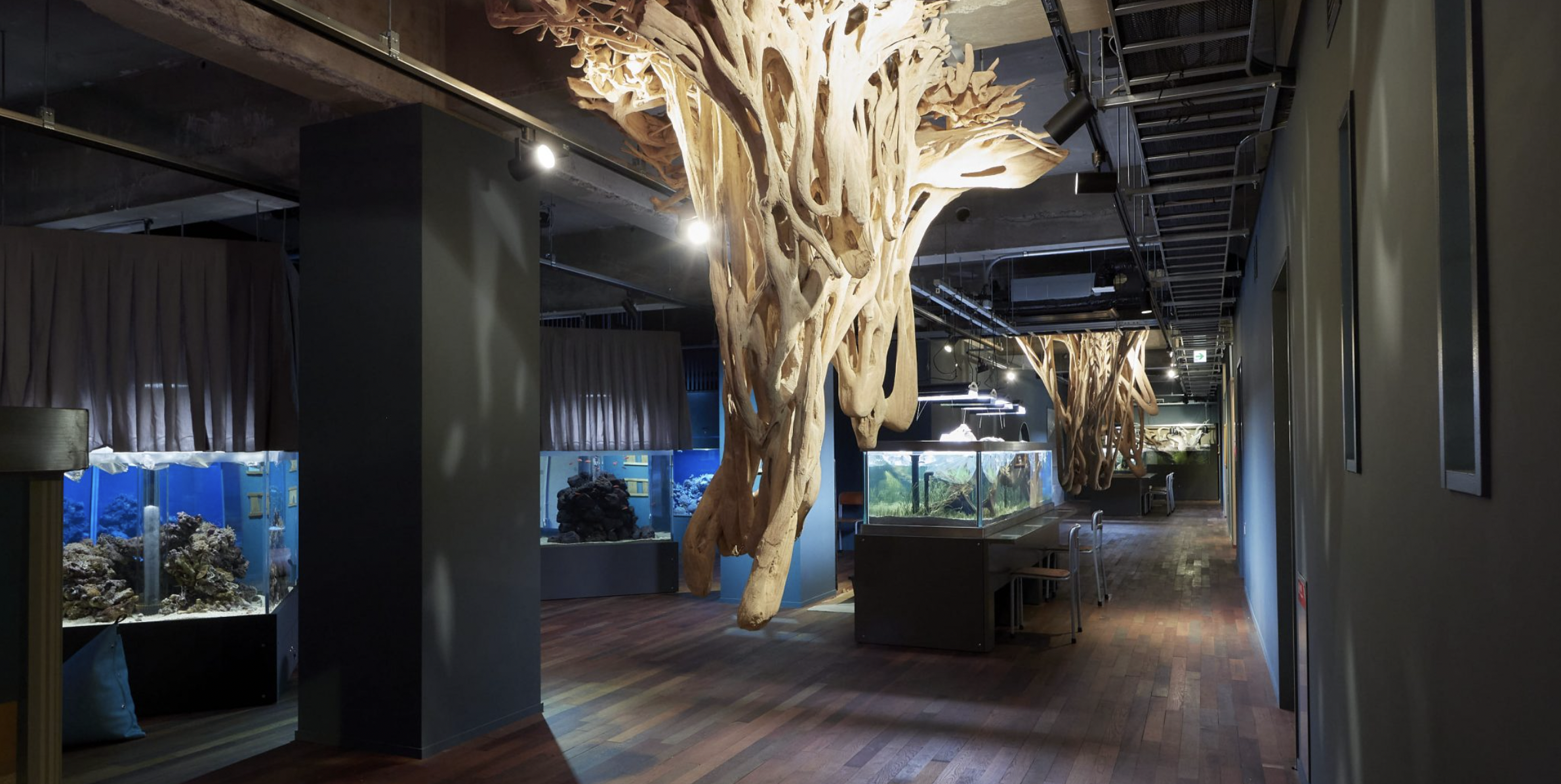 スクリーンショット-0004-11-29-